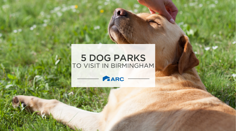 5 Dog Parks to Visit in Birmingham - ARC Realty Blog